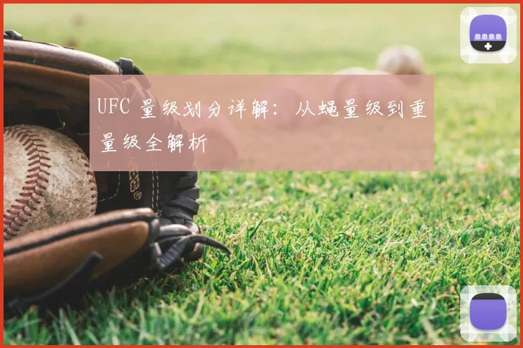 UFC 量级划分详解:从蝇量级到重量级全解析
