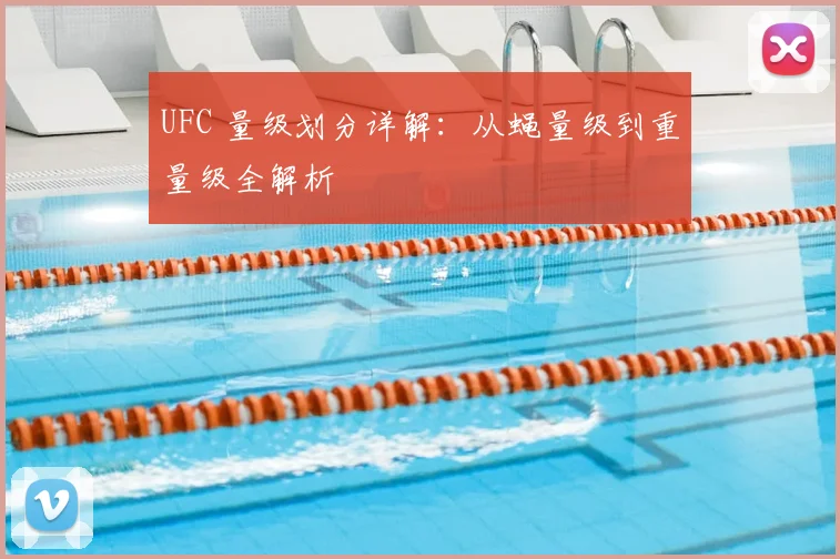 UFC 量级划分详解:从蝇量级到重量级全解析