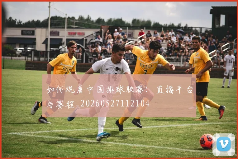 如何观看中国排球联赛：直播平台与赛程_20260527112104